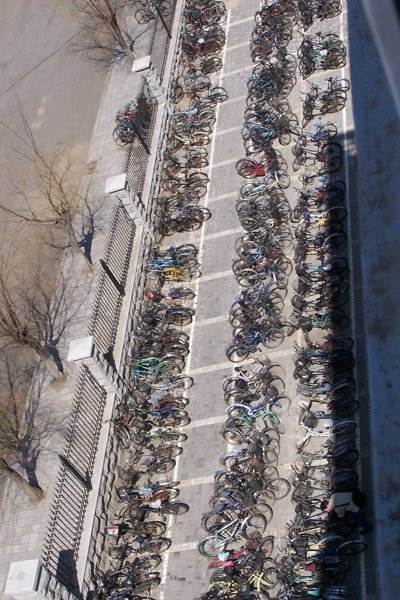 Bike near student dormitory 东北大学大学城 楼下的自行车 東北大學大學城 樓下的自行車 学生の寮のバイク by 最北京www.ZuiBeijing.com