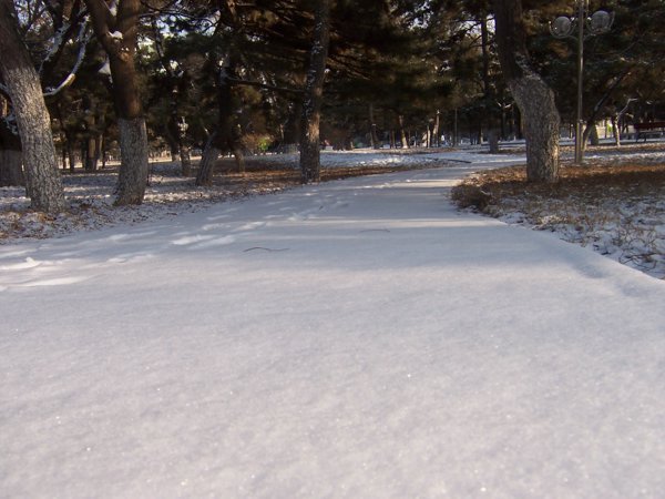 Snow in NEU campus东北大学校园雪景 キャンパスの雪2 by 最北京www.ZuiBeijing.com