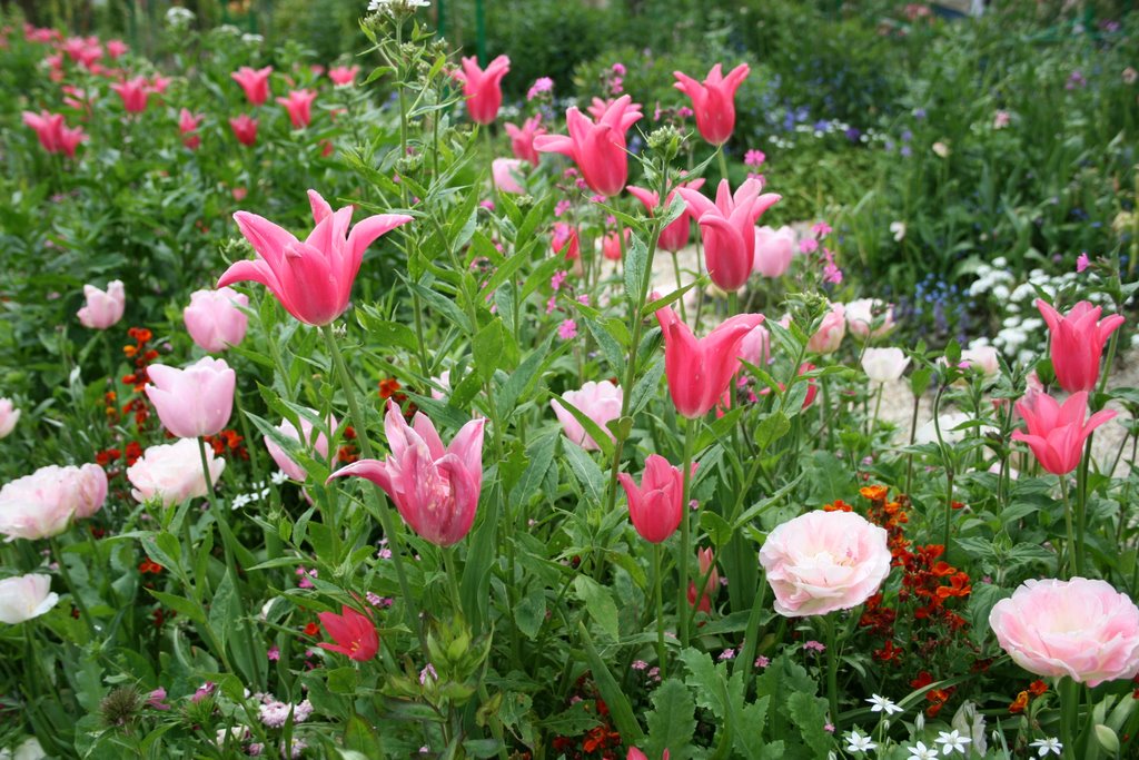 Garten Monet in Giverny by wOHNMOBIL