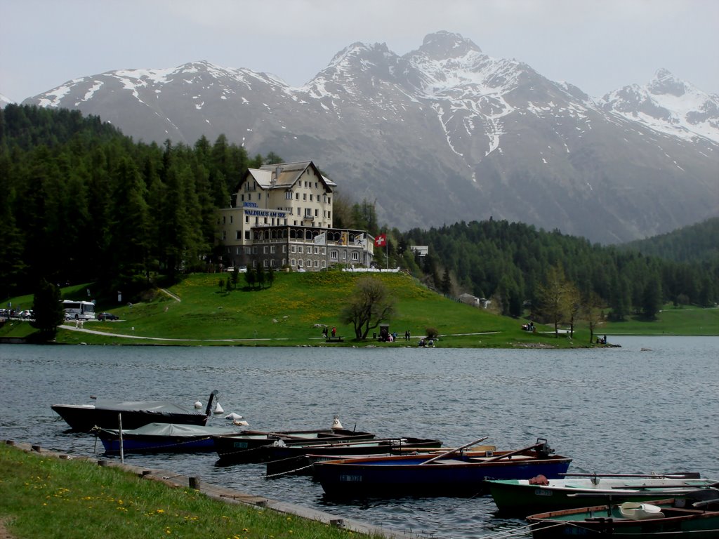 Il lago di St. Moritz - Engadina by effeelle