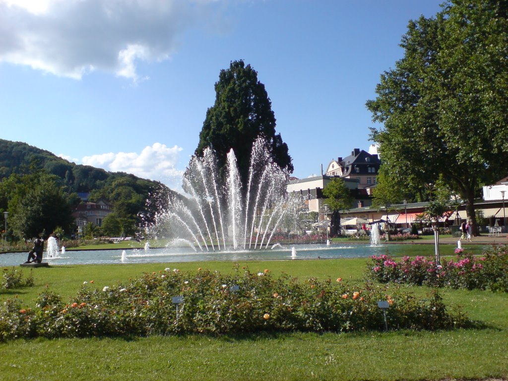 Rosengarten von Bad Kissingen by EmZet