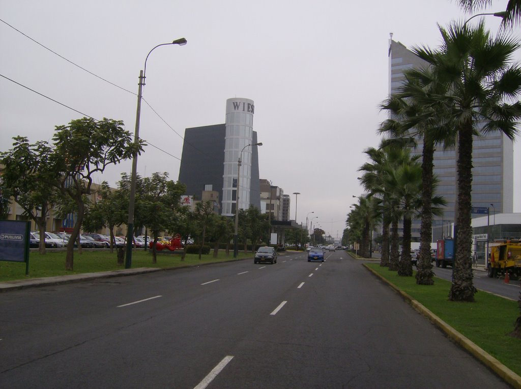 Avenida Republica de Panama by DavidNE