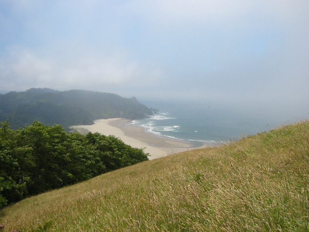 Cascade Head by ArtnScience