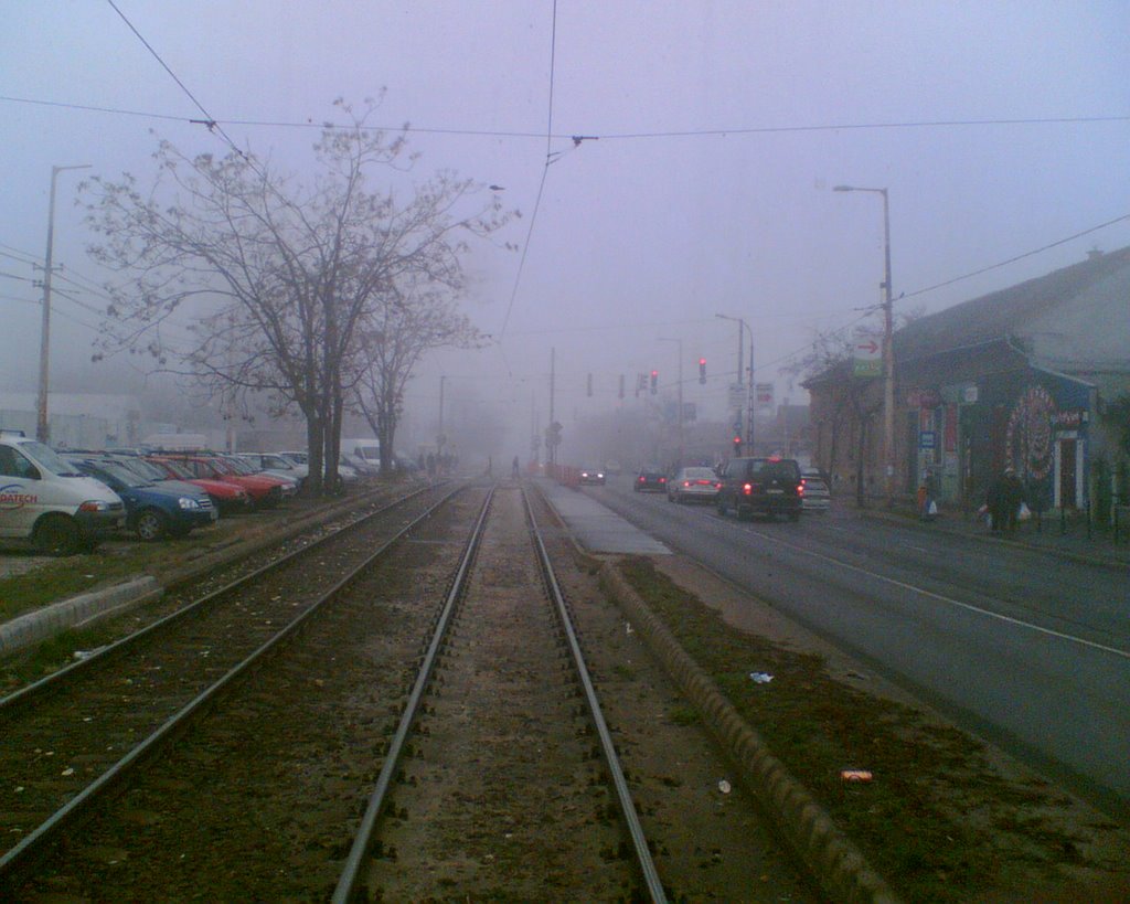 Budapest, Téglagyárdűlő, 1106 Hungary by Tomi_Bp