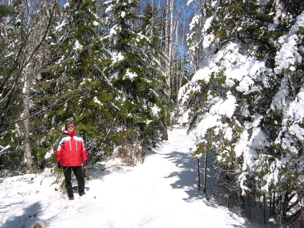 Split Rock State Park - One day after April 12, 2008 storm by Jim Moore