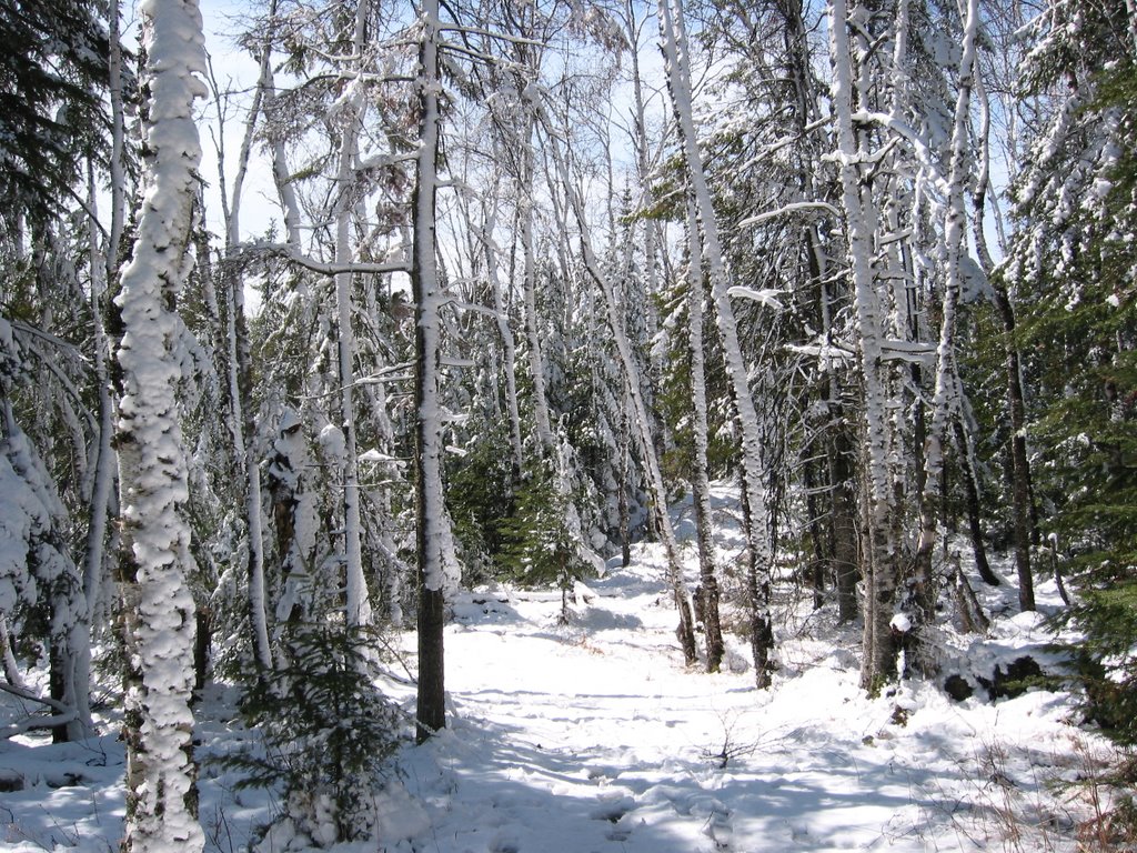 Split Rock State Park - One day after April 12, 2008 storm by Jim Moore