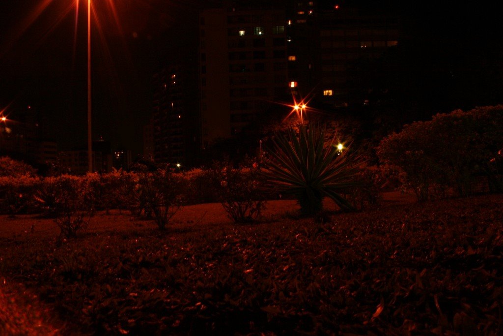 Praça Alexandre de Gusmão - SP - por João Ramalho0 by João Ramalho Santos