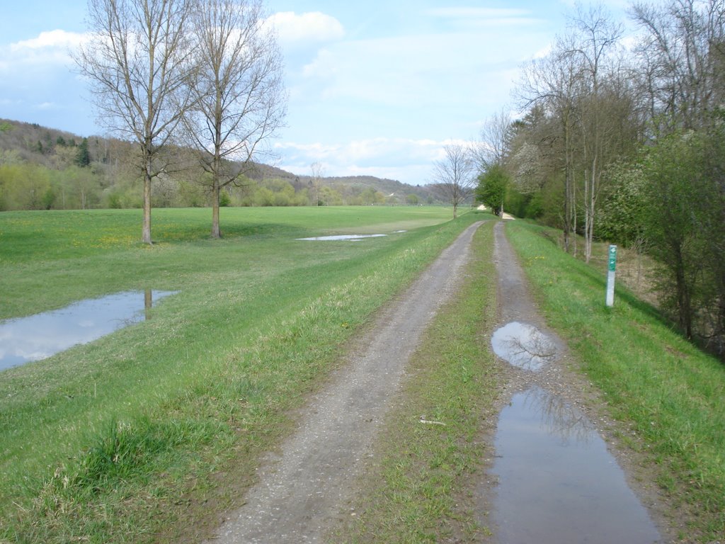 Thurweg bei Frauenfeld/Warth by Thomas Merz-Abt