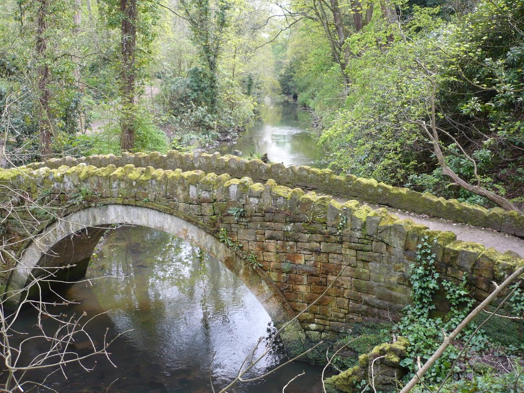 Jesmond Dene, 5/5/2008 by Thomas58