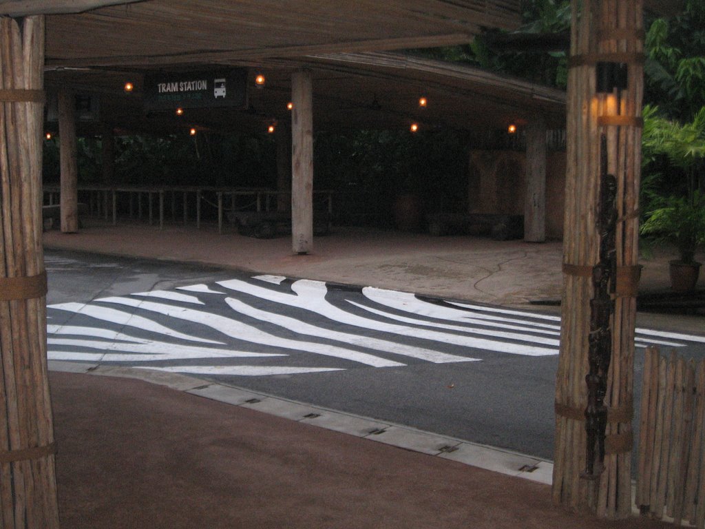 Zebra crossing by MANNYDELGADO