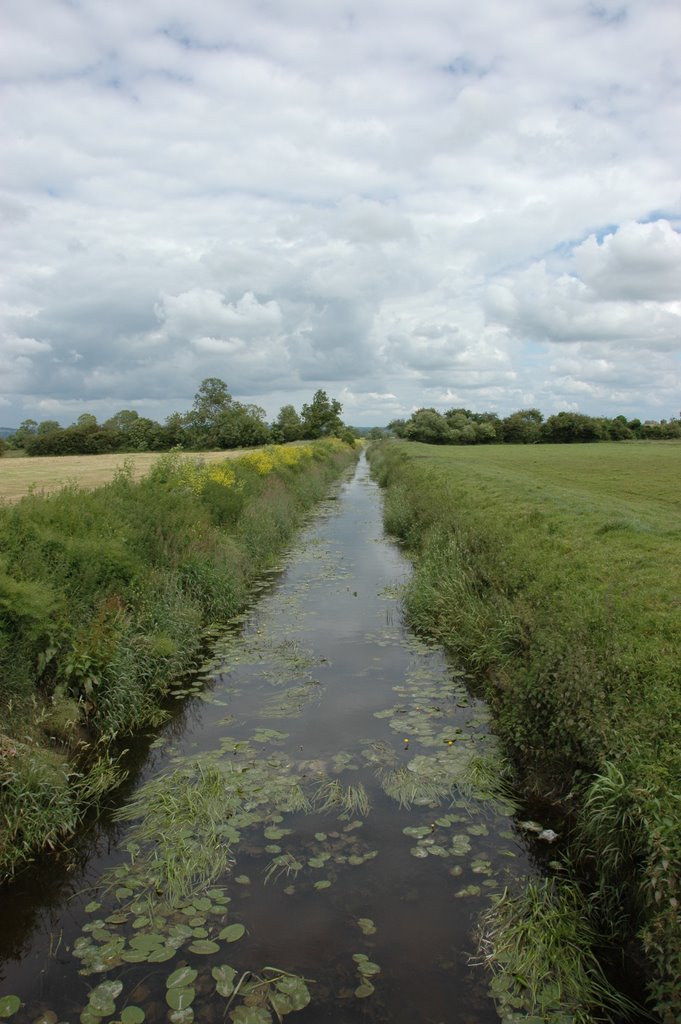 Ryne near Godney, Somerset Levels by zail