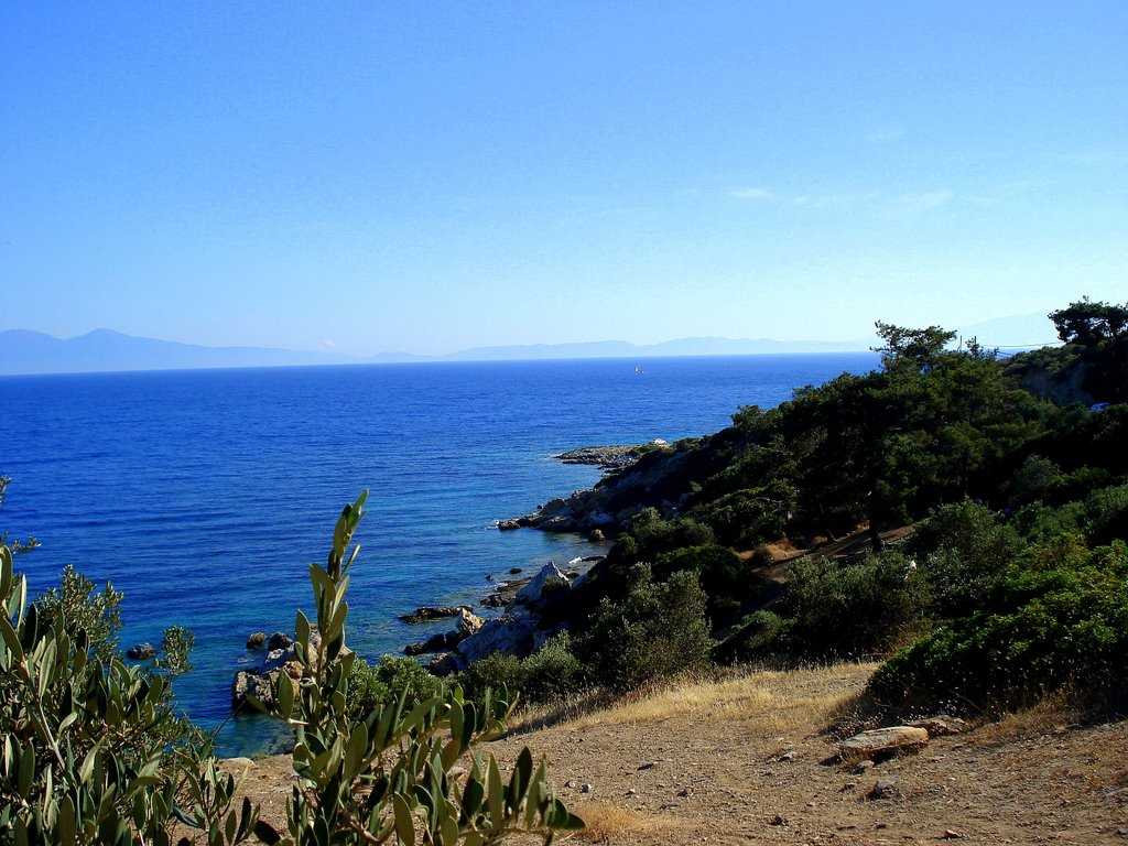 Ahmetbeyli, 35470 Menderes/İzmir, Turkey by ihsan özardıç