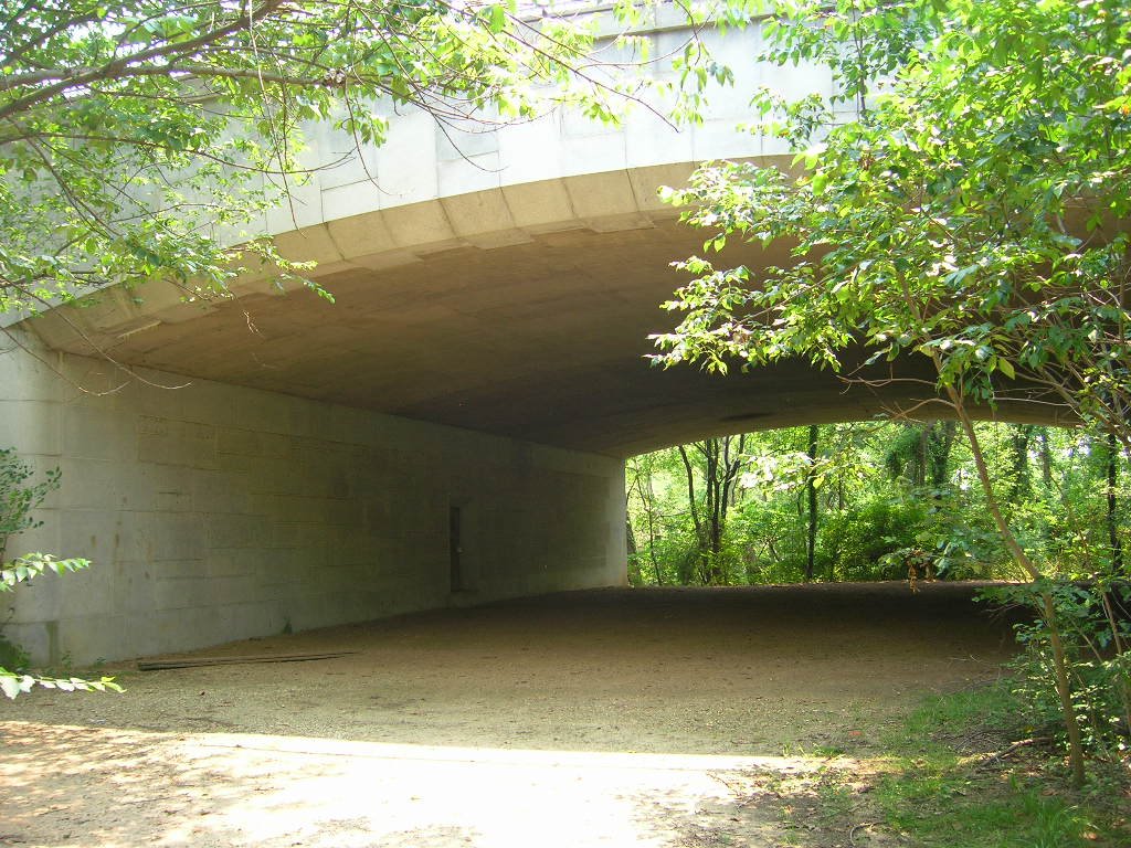 Under 50 on Roosevelt Island DC by CVerebely