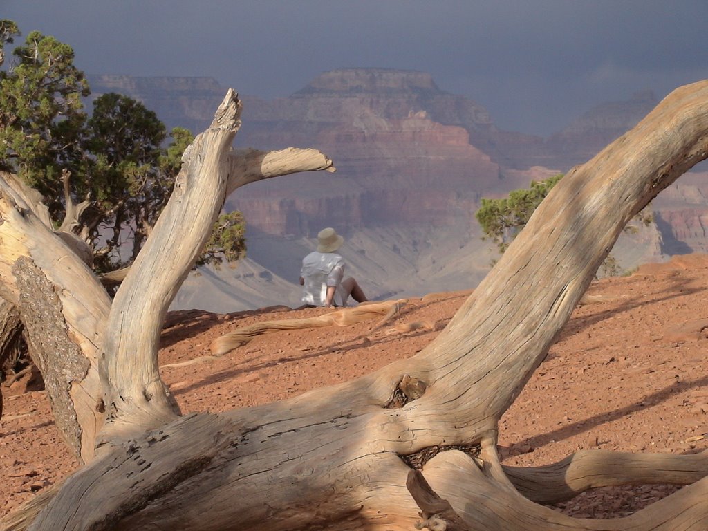 Grand Canyon, South Rim by KateW