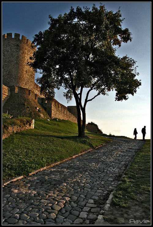 Kalemegdan by Pavle Pekovic