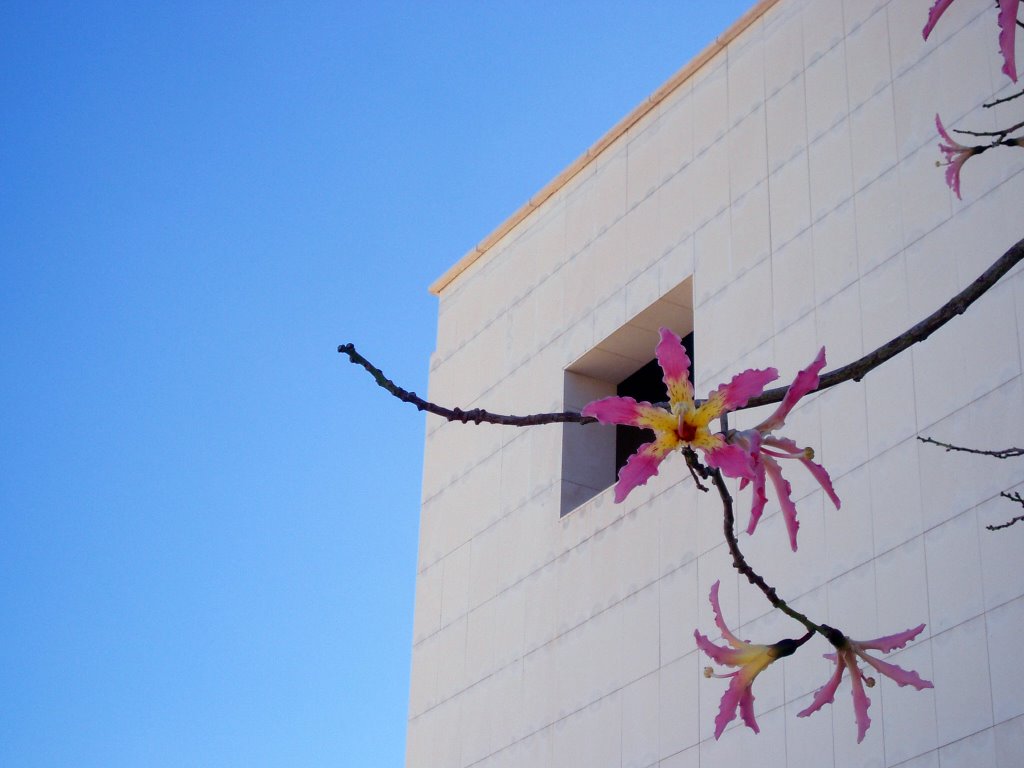 Universidad de Alicante. Escuela Politécnica. by Isaac A. García Masiá