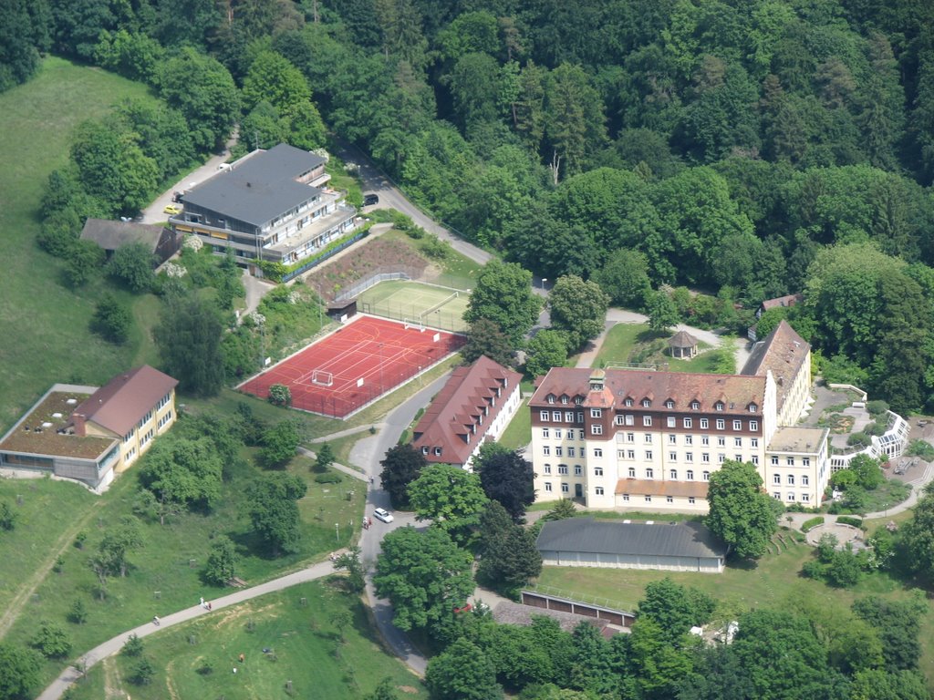 Schloss Spetzgart by SeeMatze