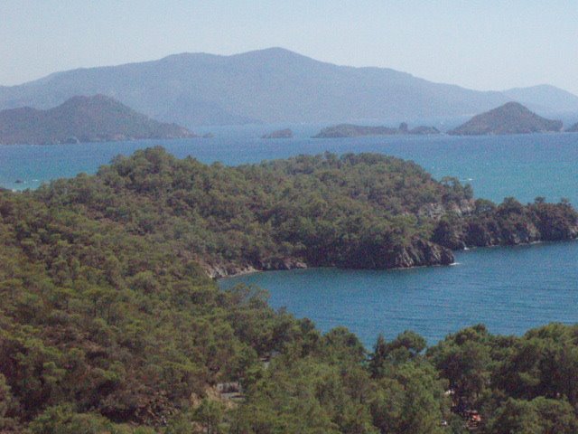 OLUDENIZ KUSBAKISI by burakarub