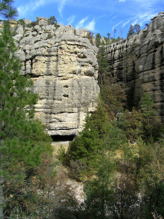 Douglas-fir in the barrancas along Mex-16 by Chris Earle