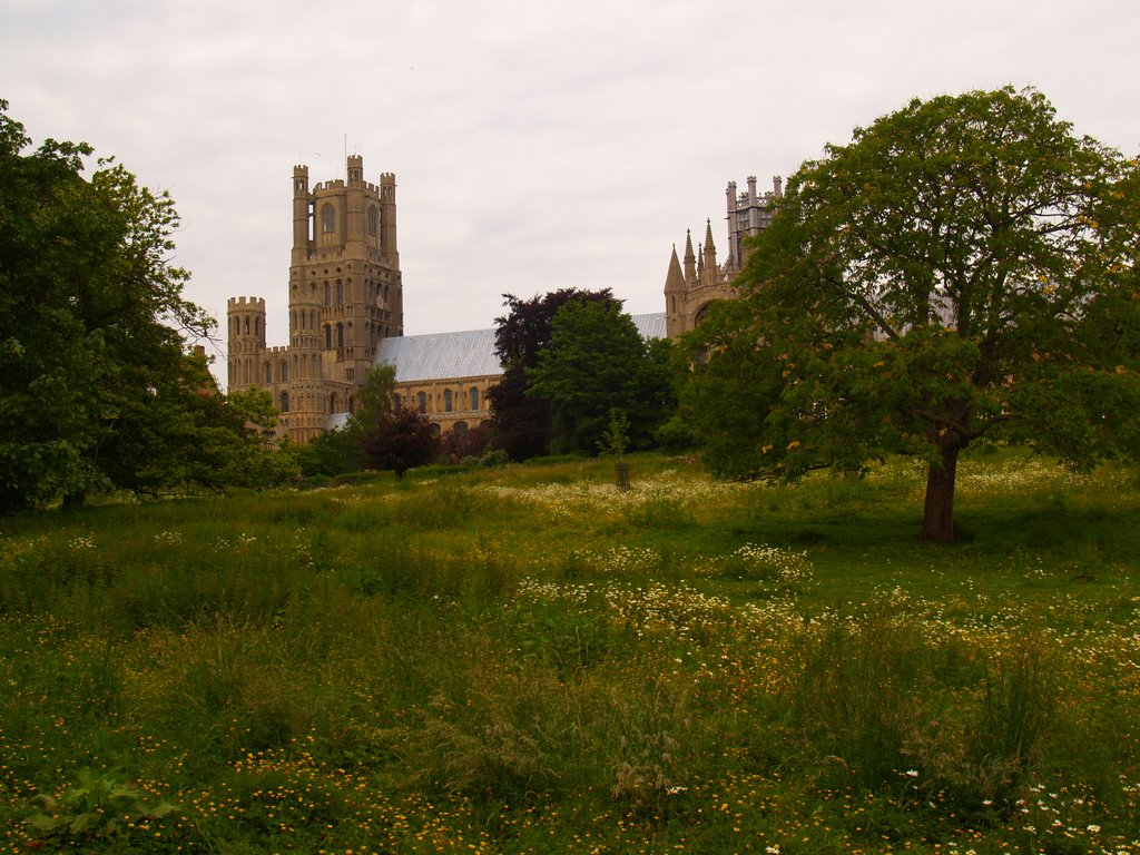 Ely Cathedral Cambridgeshire by Simon Latcham