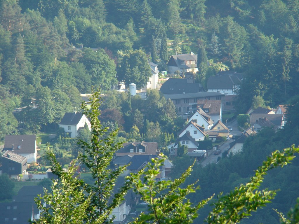 Blick ins Grüner Tal by Windbergbewohner