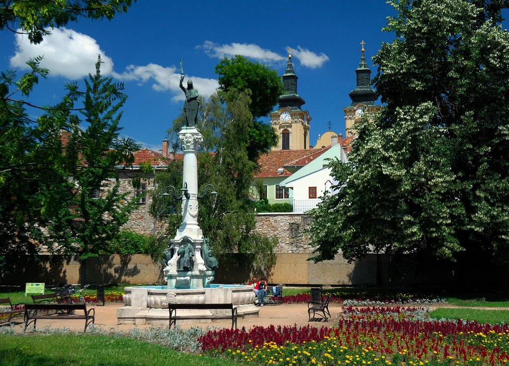 Castle walls with the Bishop Well by Zabb Csaba