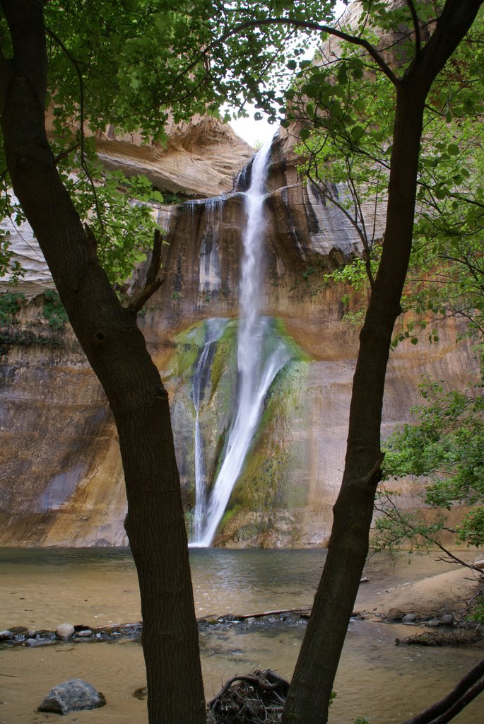 Calf Creek - Lower Falls Trail by Johnny Hjelm Jessen