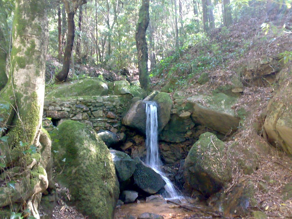 Parque da Pena by diogo teixeira