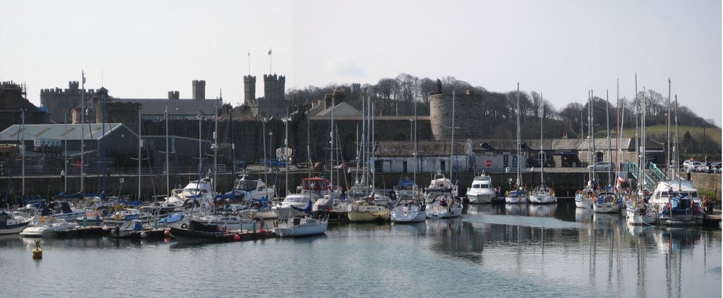 Caernarfon Castle from the harbour by Robert Cox