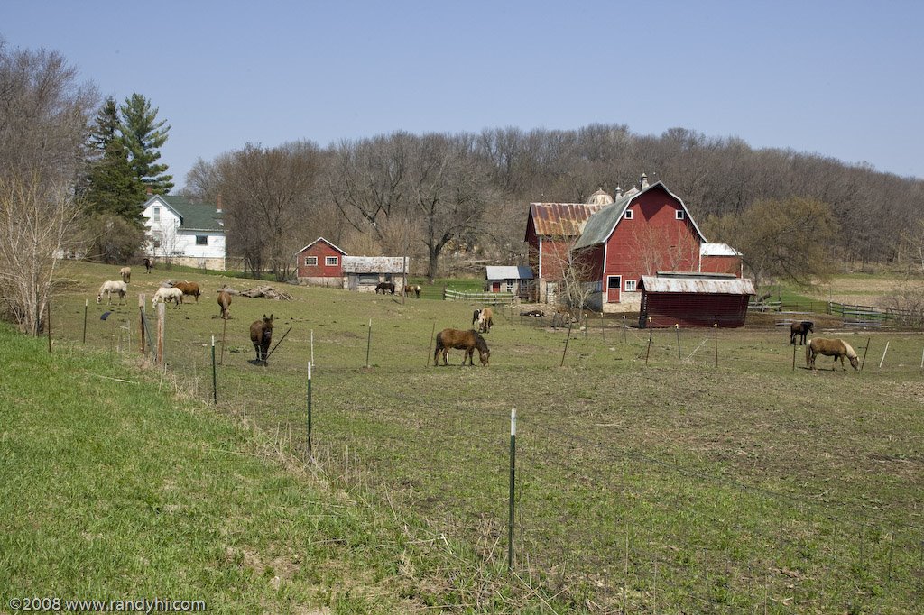 Pony farm near Baraboo, WI by RandyHI