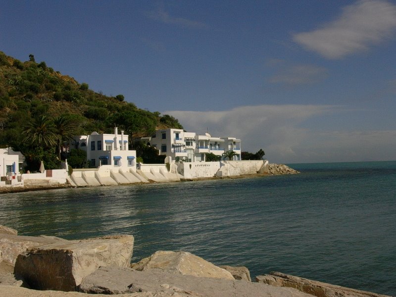 Port de Sidi Bou Said Tunisie by G.Berger