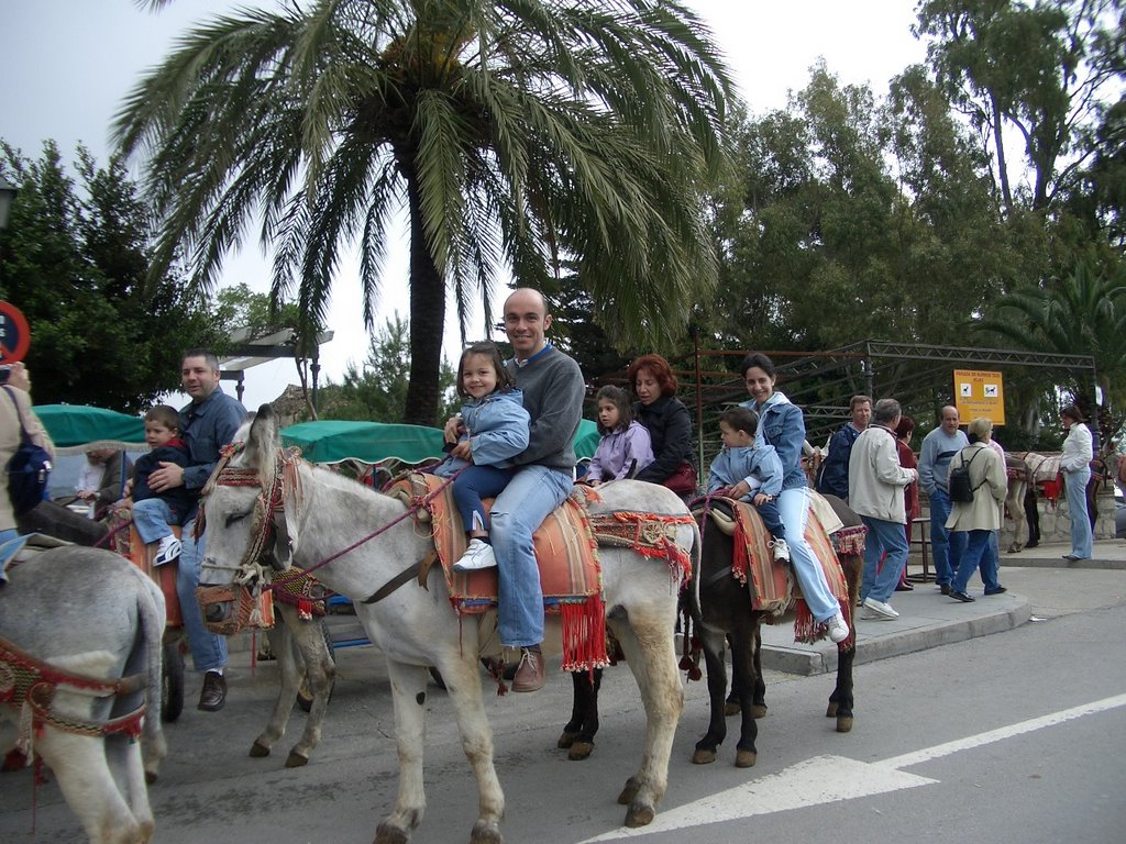 29650 Mijas, Málaga, Spain by josegtz