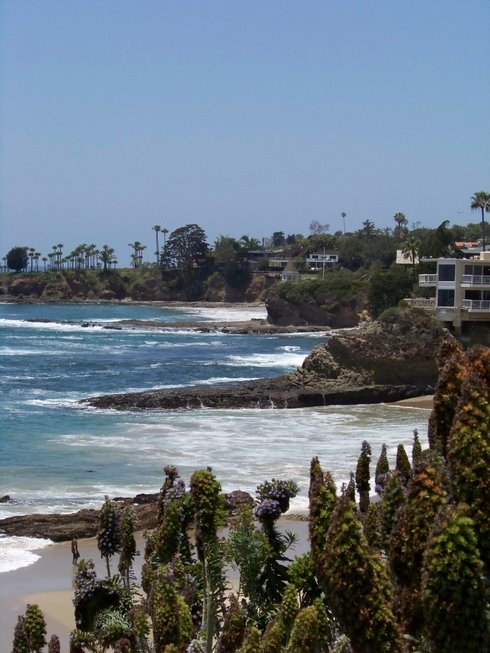 Laguna Beach, CA, USA by Stefanie