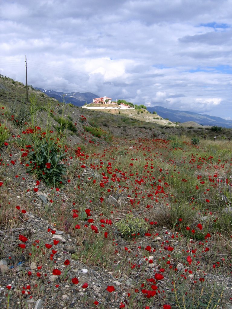 Esentepe, Erzincan by Mustafa Gokmen