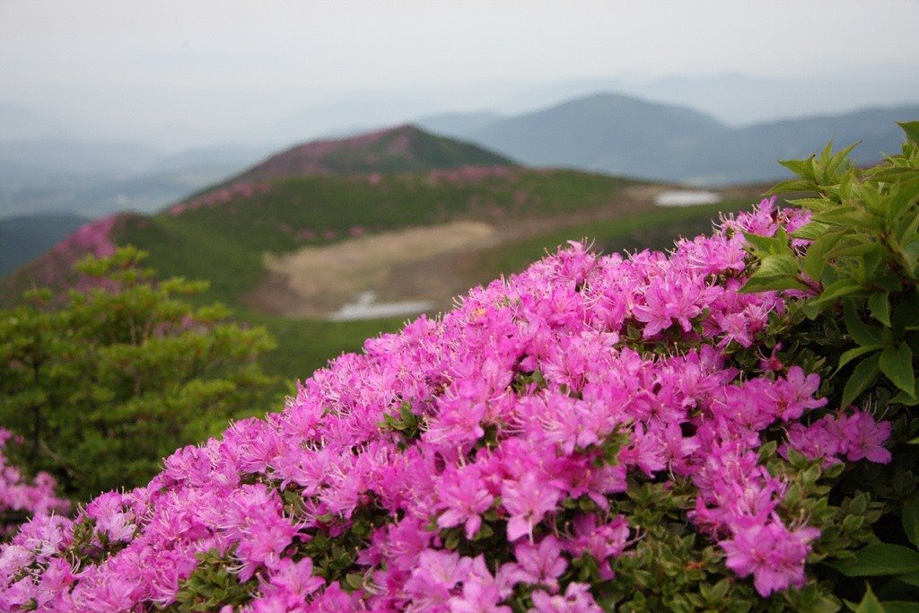 Mt.Daisen by hca00331