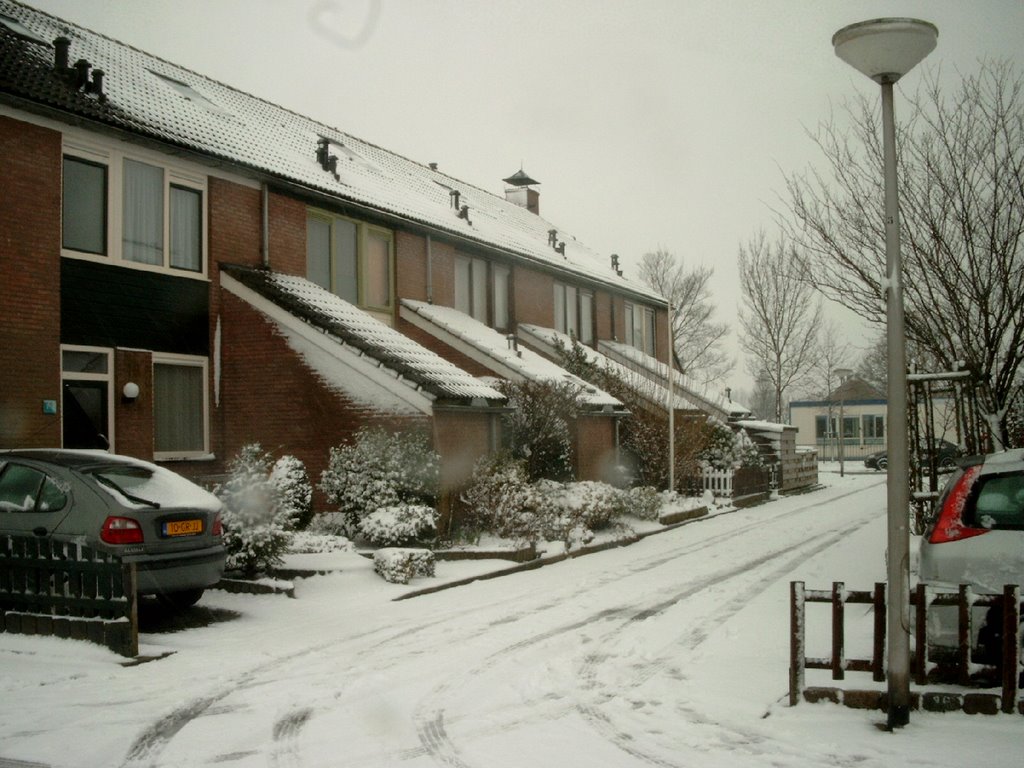 Burg.Vrieslaan, Goudswaard by © arij m van waart