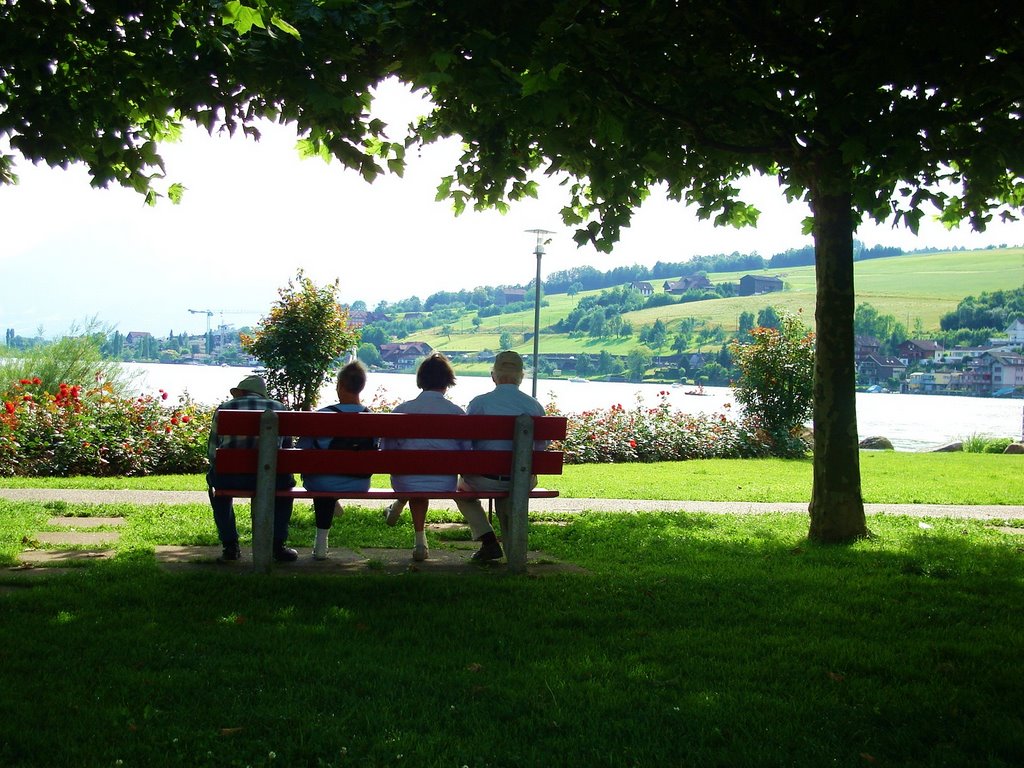 Küssnacht am Rigi - Vierwaldstättersee by ucayali7