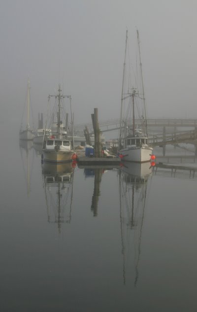 Harbour Bamfield by www.chrisogdenphotography.co.uk