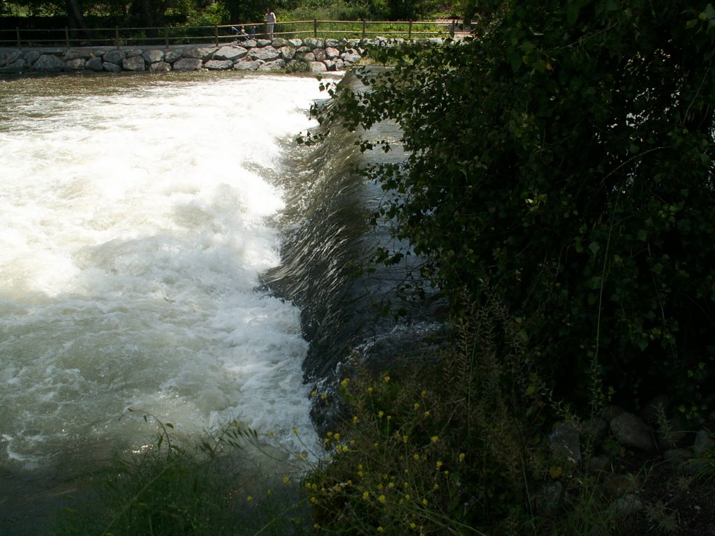 Rio Iregua a su paso por Varea by José A. Lorenzo