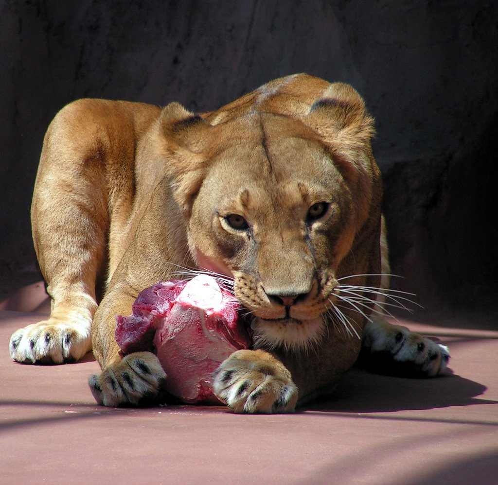 Mahlzeit! by Hans Ulrich H.