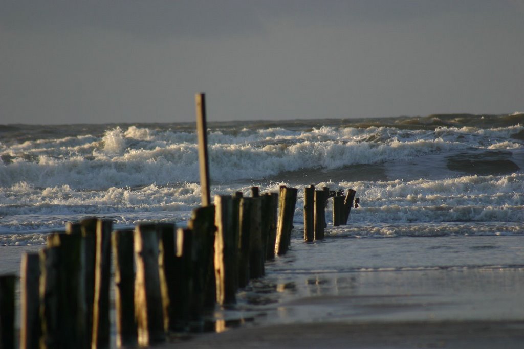 Lakolk am Strand bei Wind und Wellen by ms.schrotty