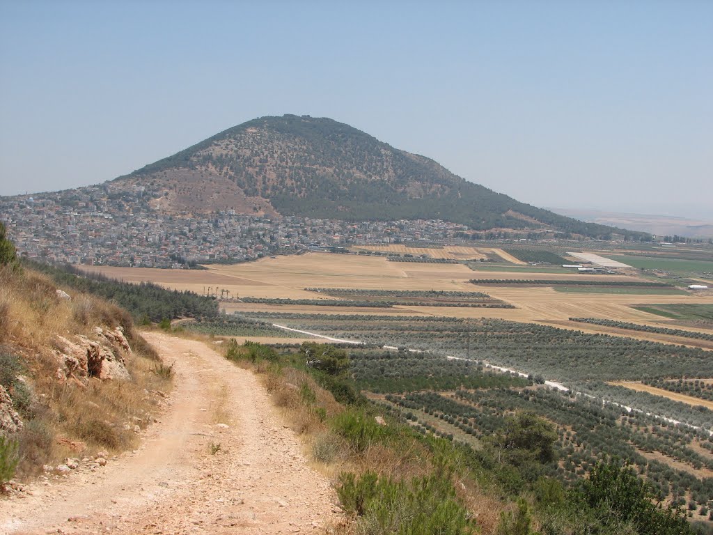 Iksal area, Har Tavor, Daburia 2, Israel by ‫יוסף אבן כסף‬‎