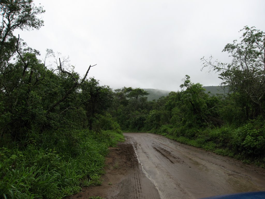 Hluhluwe-Imfolozi Game Reserve Landscape by Prof. Richard T. Mor…