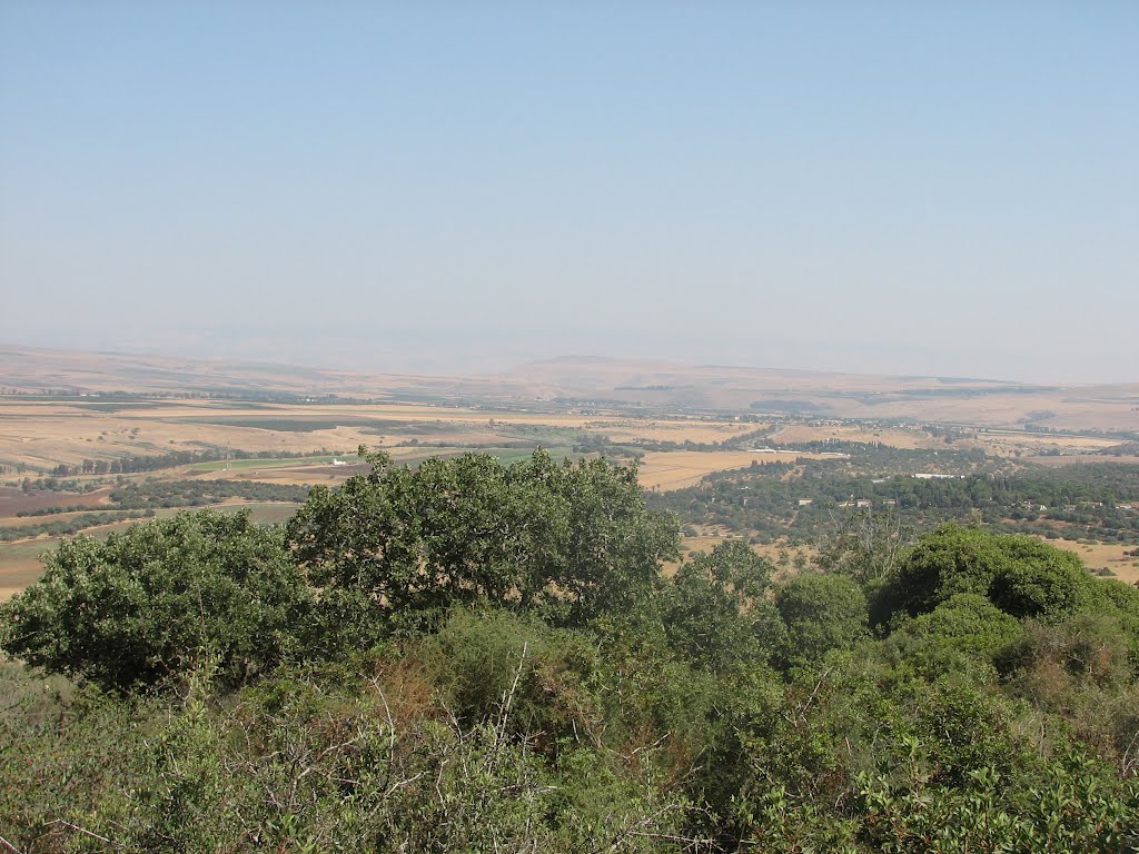 Beit Keshet Area, a nature reserve Aloney Keshet 4, israel by Kobi Zilberstein