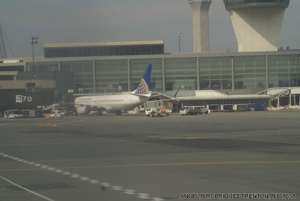 CONTINENTAL AIRPLANE IN BACK OF C TERMINAL by ANGEL N RODRIGUEZ