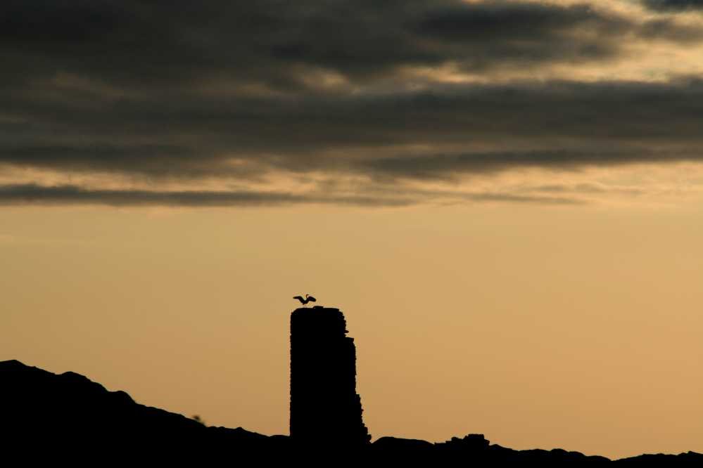 Ardvreck Castle seen late in the afternoon by Jesper Berling