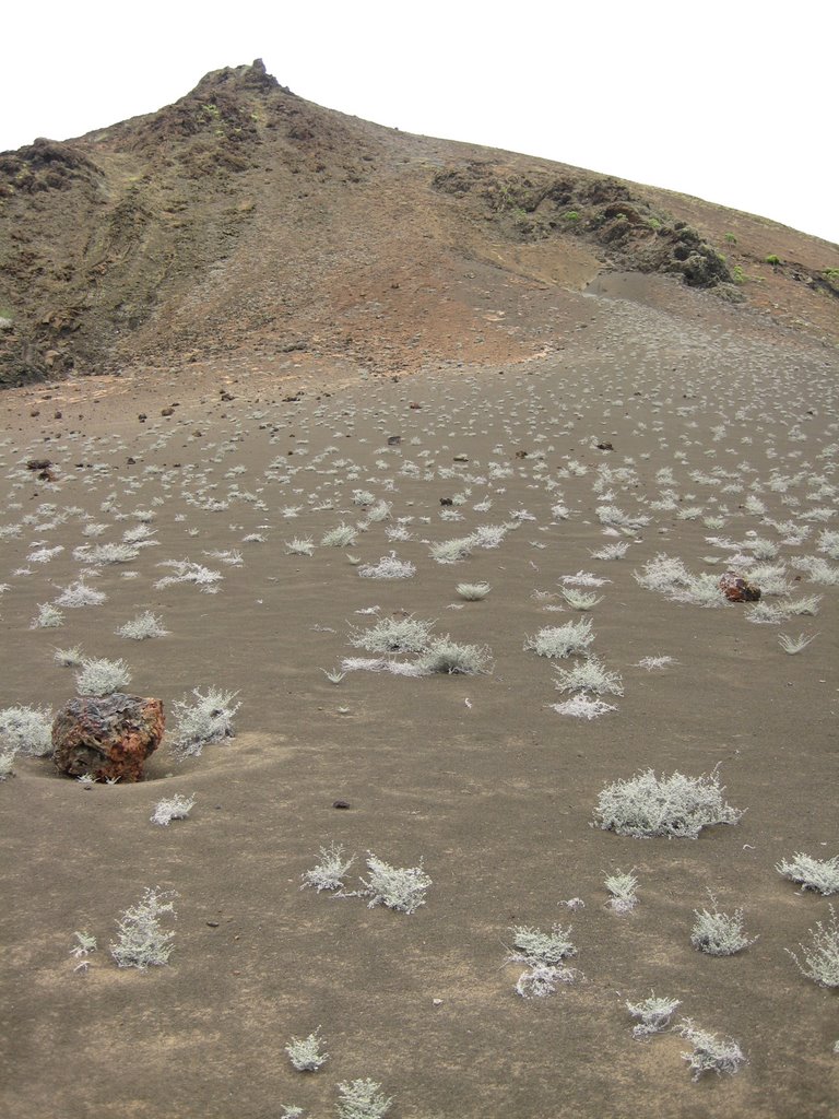 Lava field on Barolome by mbethke-ecuador