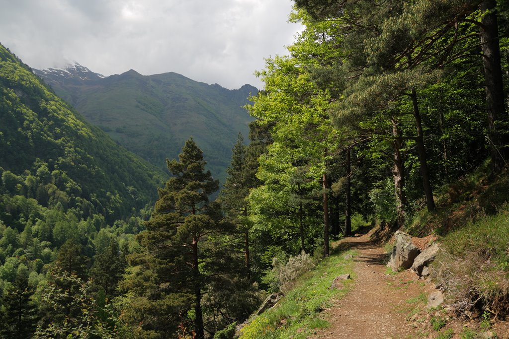 Le sentier des pères (GR10) by Jean Guillo