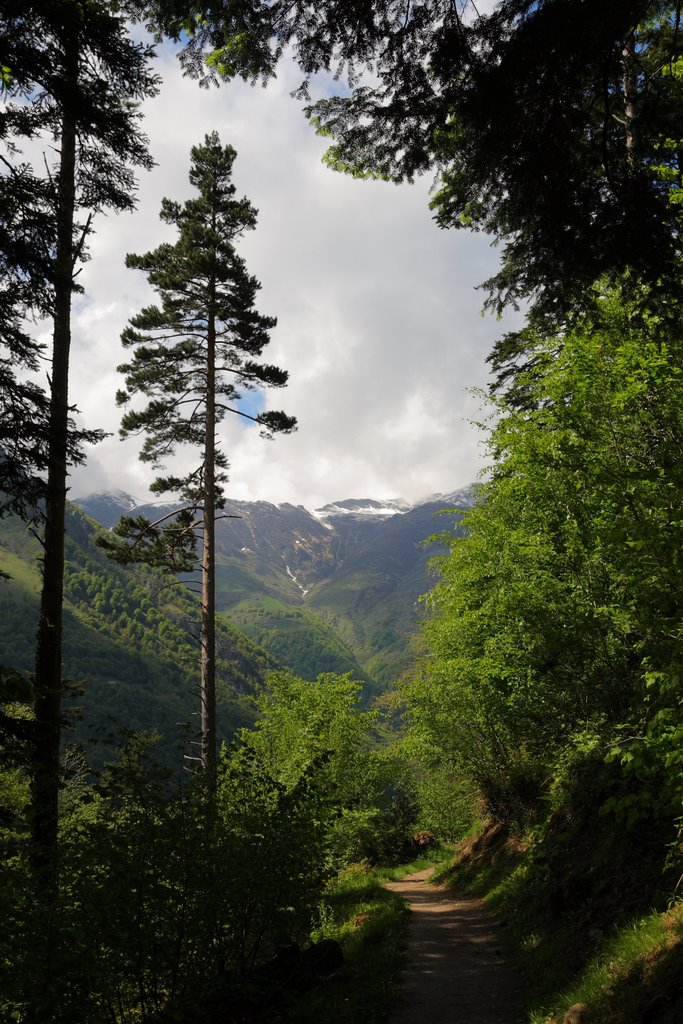 Le sentier des pères (GR10) by Jean Guillo