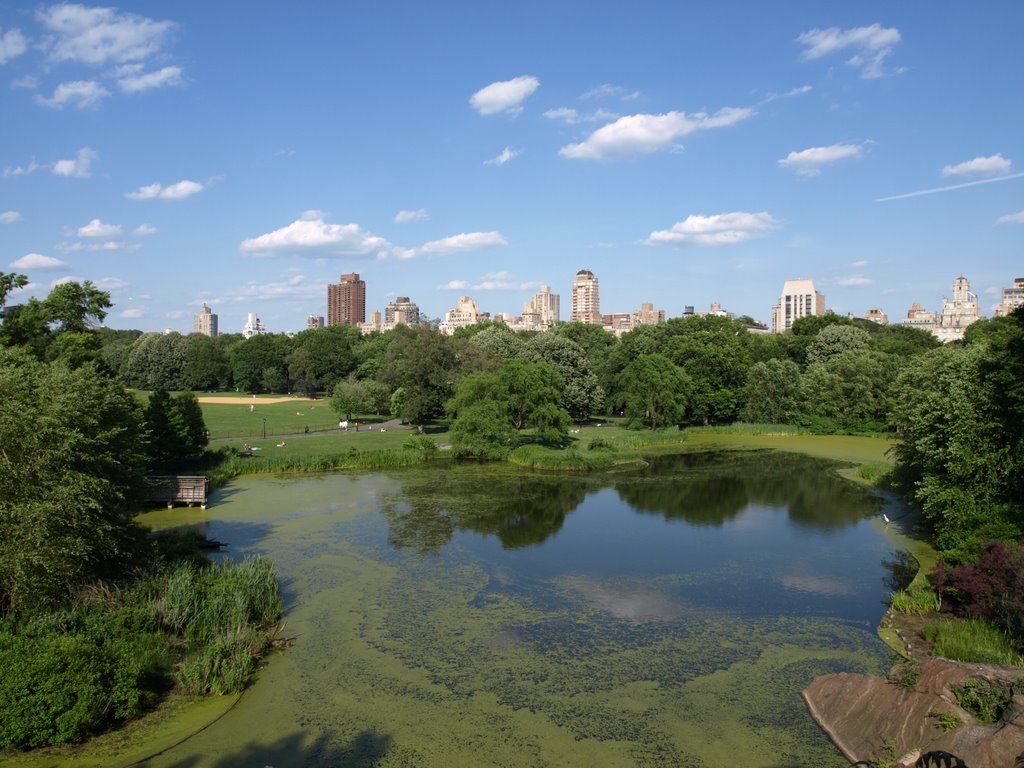 Central Park by LaszczakJ